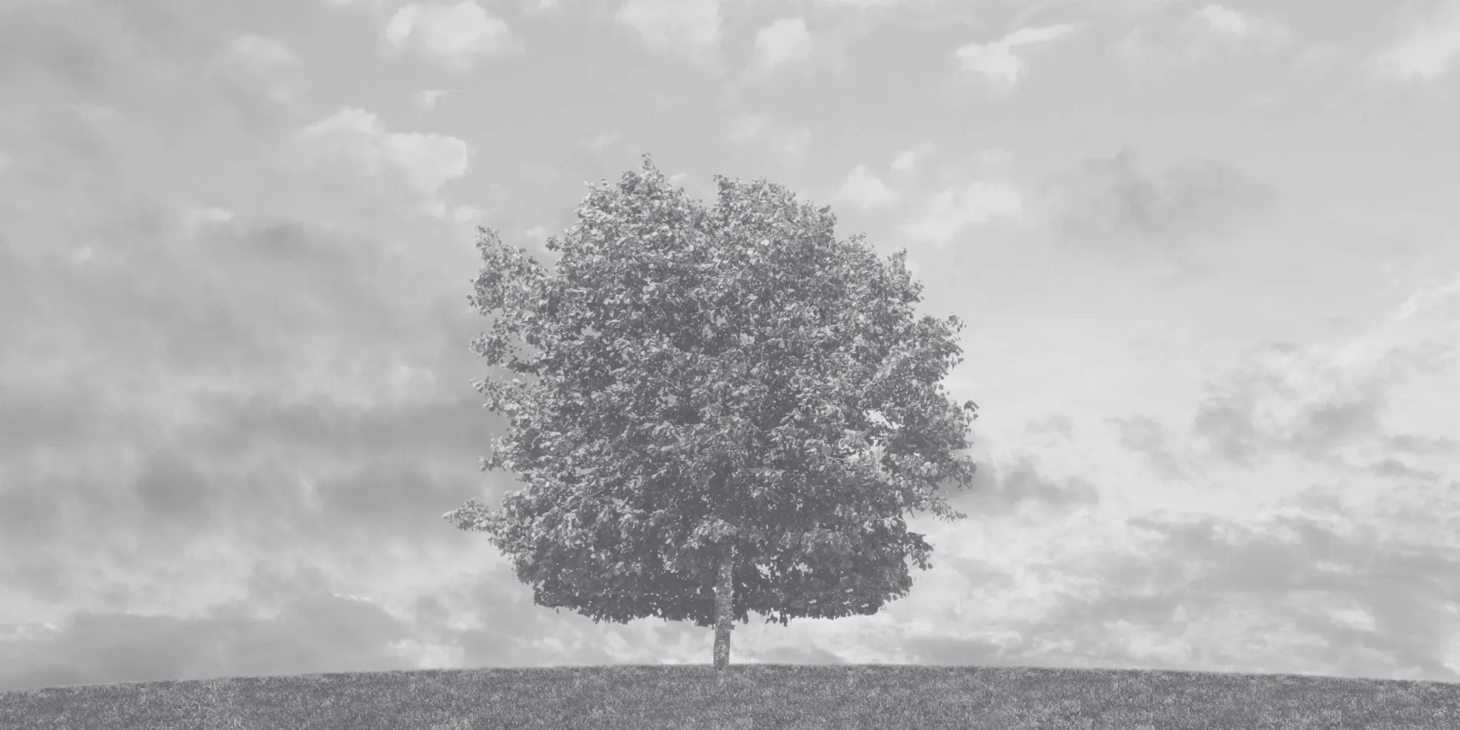 The Power of Simplicity in Financial and Investment Planning